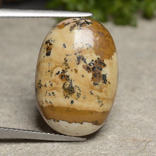 14.50ct Натуральный Многоцветный Яшма, Овал, Непрозрачный