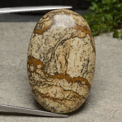 40.46ct Натуральный Многоцветный Яшма, Овал, Непрозрачный