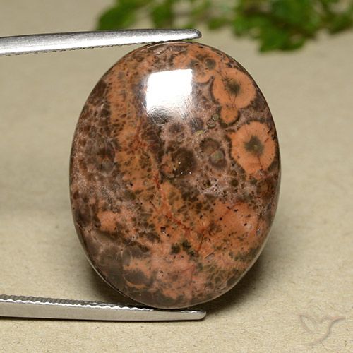 22.97ct Натуральный Многоцветный Яшма, Овал, Непрозрачный