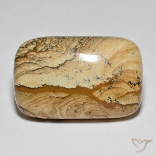 62.57ct Натуральный Многоцветный Яшма, Подушка, Непрозрачный