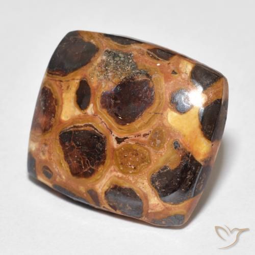 12.18ct Натуральный Многоцветный Яшма, Подушка, Непрозрачный