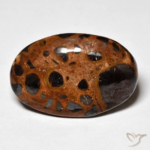 21.98ct Натуральный Многоцветный Яшма, Овал, Непрозрачный