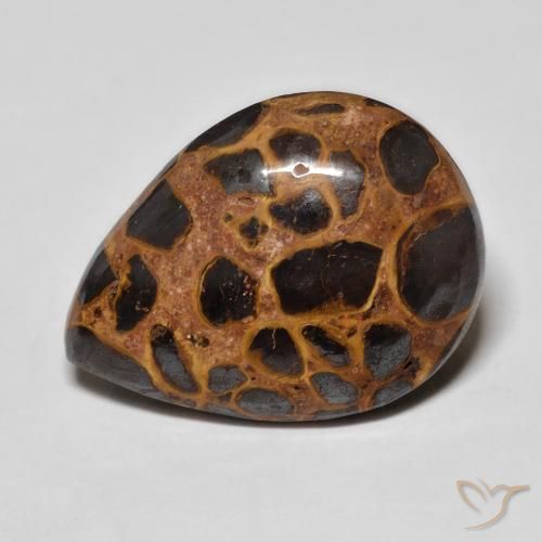13.93ct Натуральный Многоцветный Яшма, Форма груши, Непрозрачный