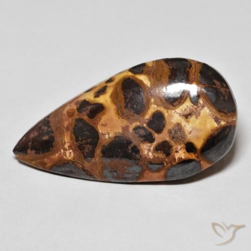 16.69ct Натуральный Многоцветный Яшма, Форма груши, Непрозрачный