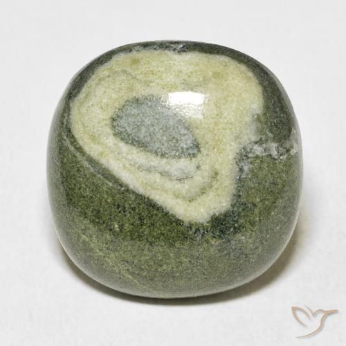 25.13ct Натуральный Многоцветный Яшма, Подушка, Непрозрачный