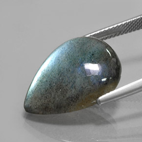12.79 карата, натуральный Многоцветный Лабрадорит, Форма груши, Полупрозрачный