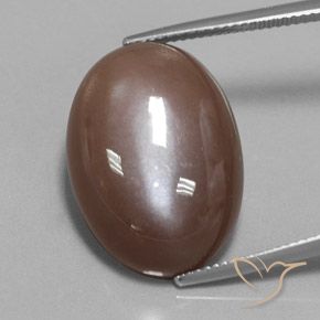 22.15ct Натуральный Эспрессо коричневый Лунный камень, Овал, Непрозрачный