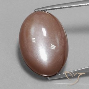 28.75ct Натуральный Коричневый Лунный камень, Овал, Непрозрачный