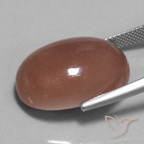 25.17 карата, натуральный Теплый коричневый Лунный камень, Овал, Непрозрачный