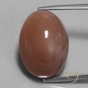 25.38ct Натуральный Коричневый Лунный камень, Овал, Непрозрачный