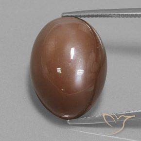 31.30ct Натуральный Теплый коричневый Лунный камень, Овал, Непрозрачный