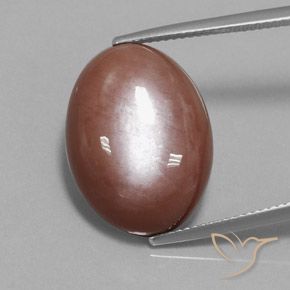 18.74ct Натуральный Корица коричневая Лунный камень, Овал, Непрозрачный