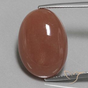 22.59ct Натуральный Коричневый Лунный камень, Овал, Непрозрачный