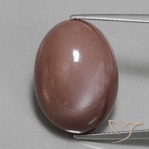 23.55ct Натуральный Коричневый Лунный камень, Овал, Непрозрачный