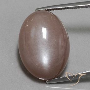 25.09ct Натуральный Светло-коричневый Лунный камень, Овал, Непрозрачный