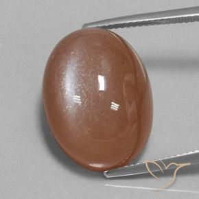 24.75ct Натуральный Теплый коричневый Лунный камень, Овал, Непрозрачный
