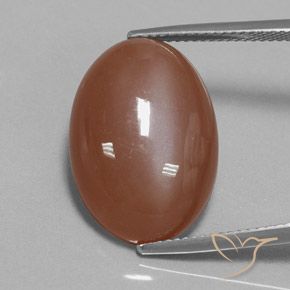 15.54ct Натуральный Корица коричневая Лунный камень, Овал, Непрозрачный