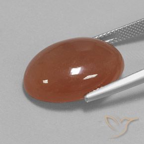 15.54 карата, натуральный Корица коричневая Лунный камень, Овал, Непрозрачный