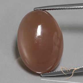 18.61ct Натуральный Коричневый Лунный камень, Овал, Полупрозрачный