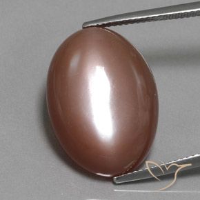 19.77ct Натуральный Теплый коричневый Лунный камень, Овал, Непрозрачный