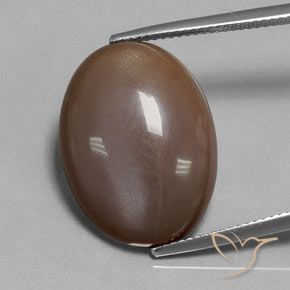 18.80ct Натуральный Шоколадно-коричневый Лунный камень, Овал, Полупрозрачный