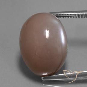 24.60ct Натуральный Средне-светло-коричневый Лунный камень, Овал, Полупрозрачный