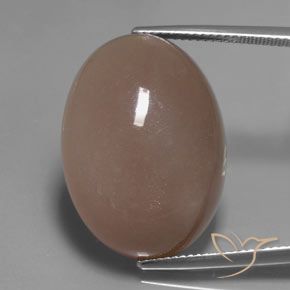 27.83ct Натуральный Светло-коричневый Лунный камень, Овал, Полупрозрачный