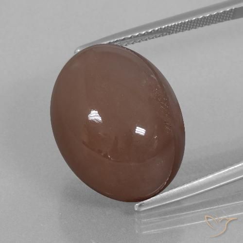 25.76ct Натуральный Эспрессо коричневый Лунный камень, Овал, Непрозрачный