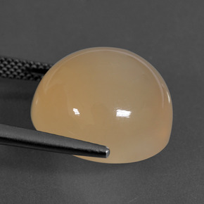 16.94 карата, натуральный Средний апельсин Лунный Камень, Огранка Круг, Полупрозрачный