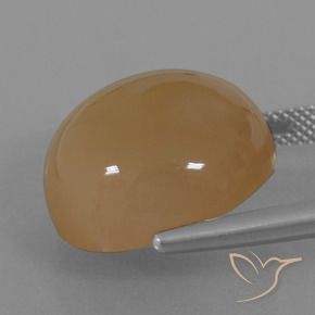 23.98 карата, натуральный Светлый арахисовый коричневый Лунный камень, Круглый, Полупрозрачный