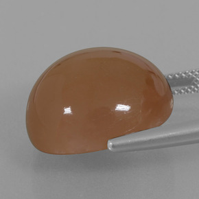 23.28 карата, натуральный Теплый коричневый Лунный Камень, Огранка Круг, Полупрозрачный