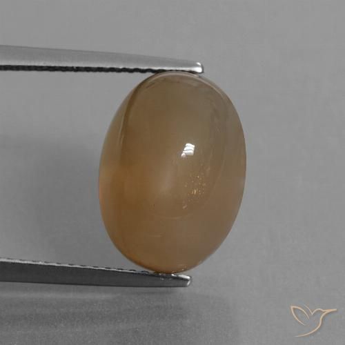 9 55 carat Brown Moonstone Gemstone for Sale
