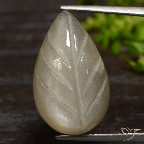 12.55ct Натуральный Светло-кофейный коричневый Лунный камень, причудливая, Полупрозрачный