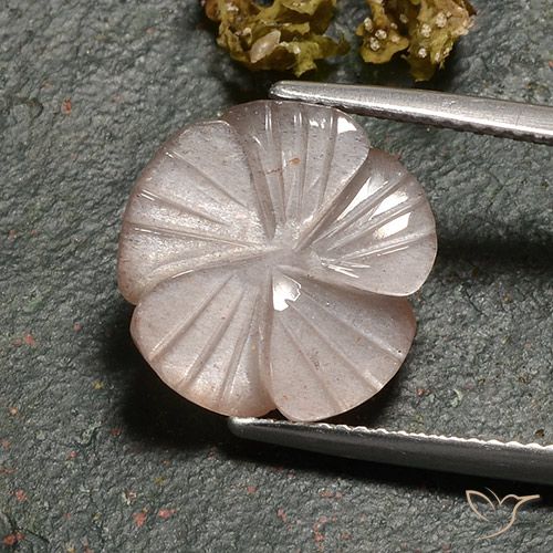 6.77ct Натуральный Светло-карамельный коричневый Лунный камень, Огранка Цветок, Полупрозрачный
