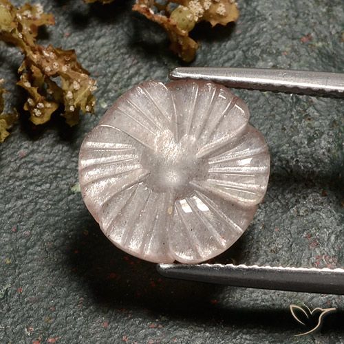 4.86ct Натуральный Очень светло-коричневый Лунный камень, Огранка Цветок, Полупрозрачный