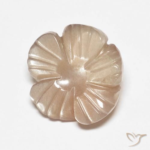 4.14ct Натуральный Очень светло-коричневый Лунный камень, Огранка Цветок, Полупрозрачный
