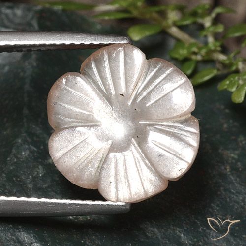 5.24ct Натуральный Очень светло-коричневый Лунный камень, Огранка Цветок, Полупрозрачный