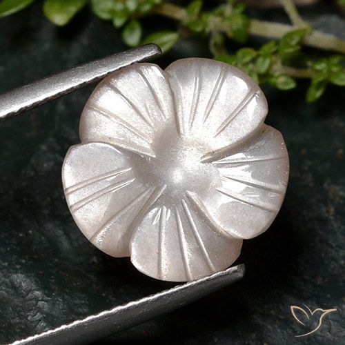6.68ct Натуральный Очень светло-коричневый Лунный камень, Огранка Цветок, Полупрозрачный
