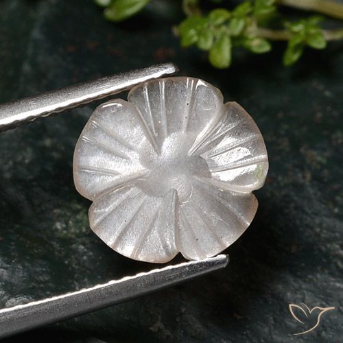2.76ct Натуральный Очень светло-коричневый Лунный камень, Огранка Цветок, Полупрозрачный