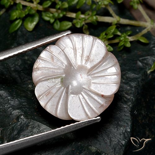 8.04ct Натуральный Бледно-коричневый Лунный камень, Огранка Цветок, Полупрозрачный