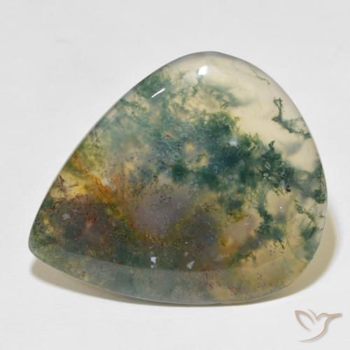 49.60ct Натуральный Многоцветный Моховой агат, Форма груши, Полупрозрачный