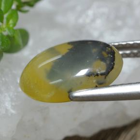 2.98 карата, натуральный Желтый Дендрит Опал Мосс, Огранка Овал, Полупрозрачный