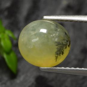 Натуральный Желтый Дендрит Опал Мосс 1,93 карата Огранка Овал, Полупрозрачный