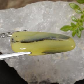 8.75 карата, натуральный Желтый Дендрит Опал Мосс, Необычная форма, Полупрозрачный