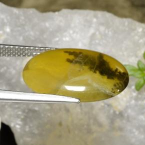 6.54 карата, натуральный Желтый Дендрит Опал Мосс, Огранка Овал, Полупрозрачный