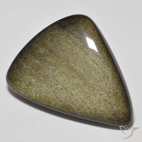 24.46ct Натуральный Черный с золотым блеском Обсидиан, причудливая, Непрозрачный