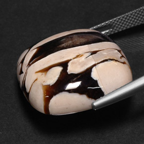 25.88 карата, натуральный Многоцветный Арахисовое Дерево, Подушка Крой, Непрозрачный