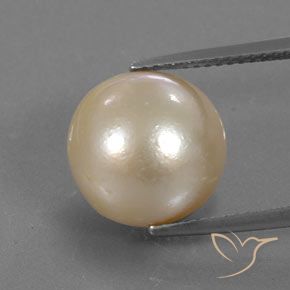12.24ct Натуральный Светло-золотистый Жемчуг, Сфера / Шар, Непрозрачный
