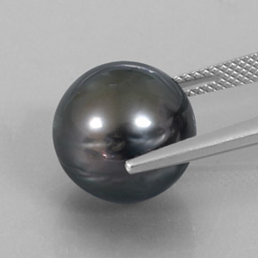 14.52 карата, натуральный Темное Серебро Жемчуг, Сфера / Шар, Непрозрачный