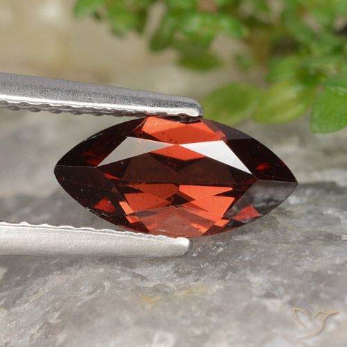 1.17ct Натуральный Средний красный Пироп Гранат, Маркиза, VVS-VS